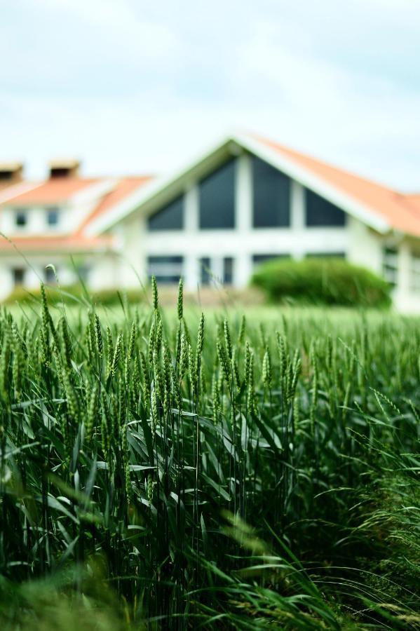Katrinebergs Folkhoegskola B&B Vessigebro المظهر الخارجي الصورة
